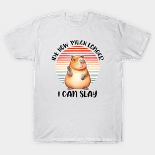 IDK How Much Longer I Can Slay T-Shirt